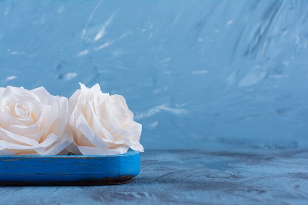 Schöne weiße Rosen auf blauem Teller auf Blau.