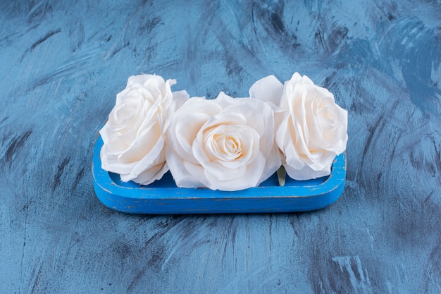 Schöne weiße Rosen auf blauem Teller auf Blau.