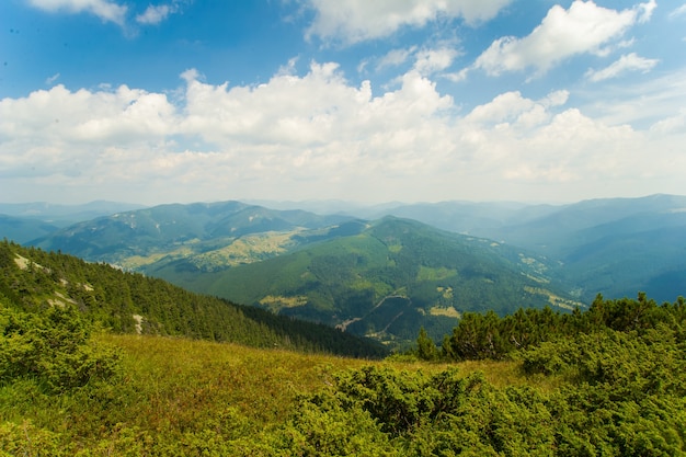 Schöne Wiesen auf Bergen