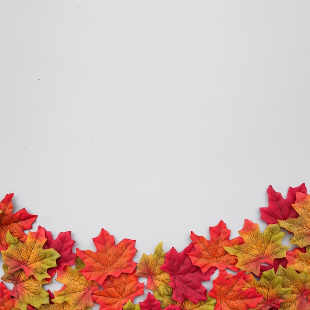 Schöne Zusammensetzung des Herbstlaubs mit Kopienraum auf die Oberseite auf hellblauem Hintergrund