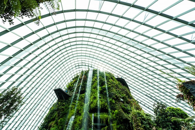 Schöner Architekturgebäude-Blumenhaubengarten und Gewächshauswald für Reise