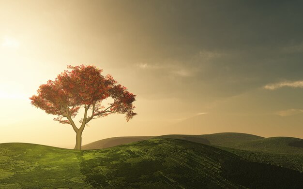 Schöner Baum in der Landschaft