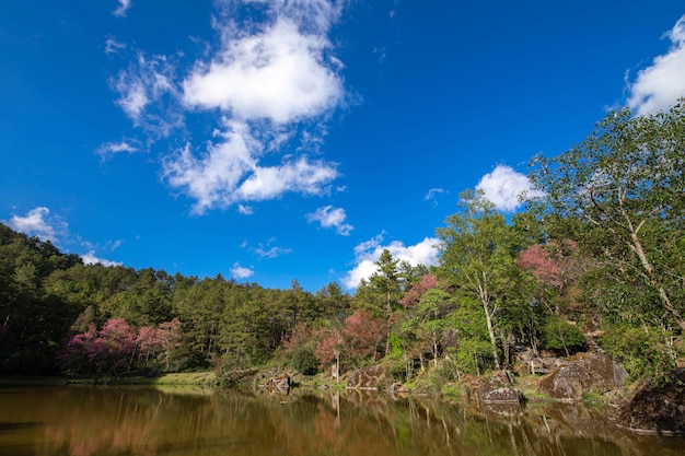 Schöner Berg, an Nordthailand, im thanon Nationalpark, Provinz Chiang Mai, Landschaft Thailand