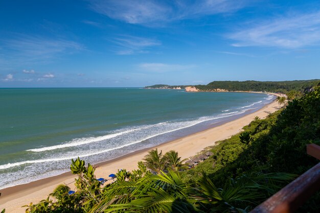 Schöner Blick auf den baumbedeckten Strand durch den welligen Ozean, der in Pipa, Brasilien gefangen genommen wird