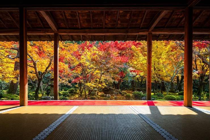 Kostenlose Foto schöner garten im herbst am enkoji-tempel, kyoto, japan.