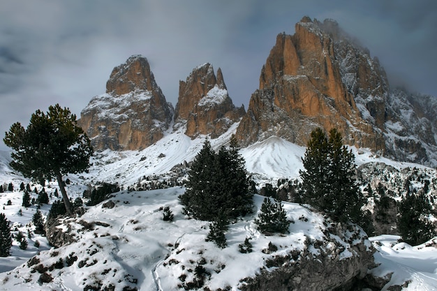 Schöner geschossener Berg und Bäume des Sellajoch-Plans in Italien