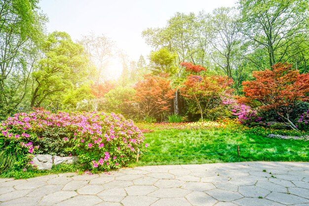 schöner grüner park