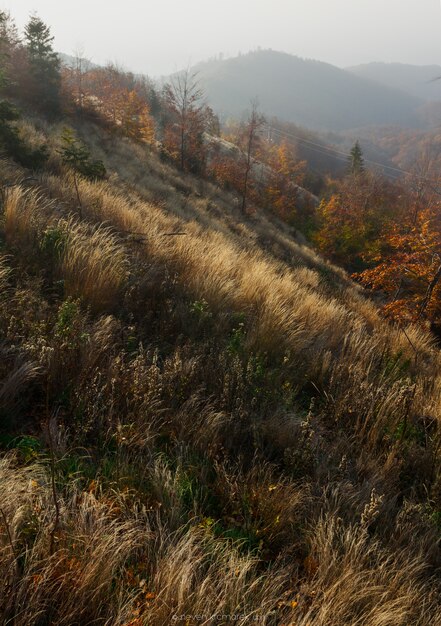 schöner Herbst im Berg Medvednica in Zagreb, Kroatien