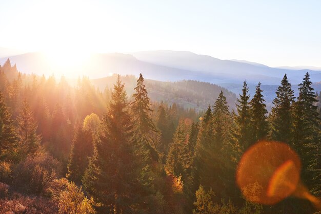 Schöner Herbstmorgen auf Aussichtspunkt über tiefem Waldtal in Karpaten, Ukraine, Europa.