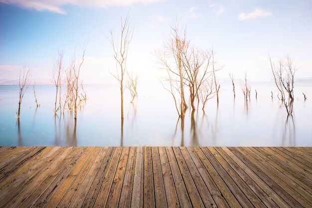 Kostenloses Foto schöner himmel und fluss mit dem boden