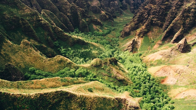 Schöner hoher Winkelschuss der Bergklippen und der Bäume, die in Kauai, Hawaii gefangen genommen werden