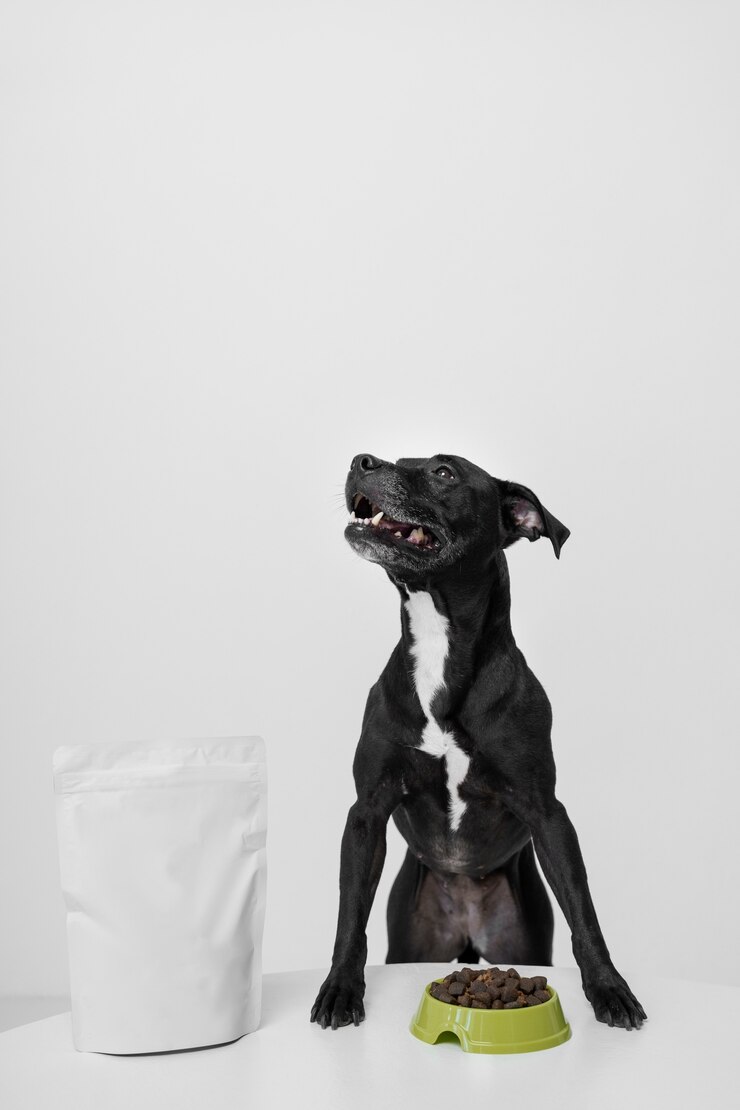 Kostenlose Foto schöner hund mit nahrhaftem futter