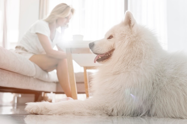 Schöner Hund und Frauen im Haus