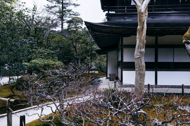 Schöner japanischer Garten