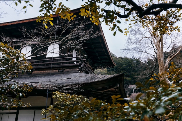 Schöner japanischer Garten