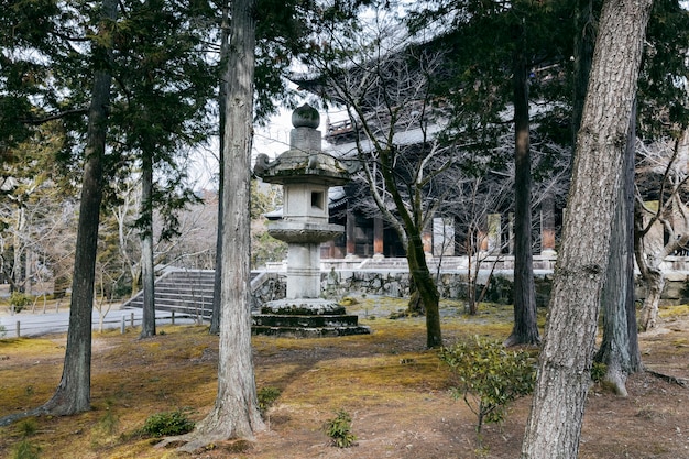 Kostenloses Foto schöner japanischer garten