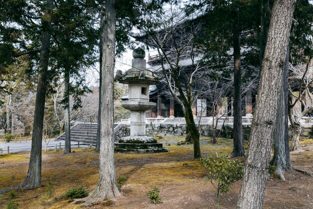 Schöner japanischer Garten