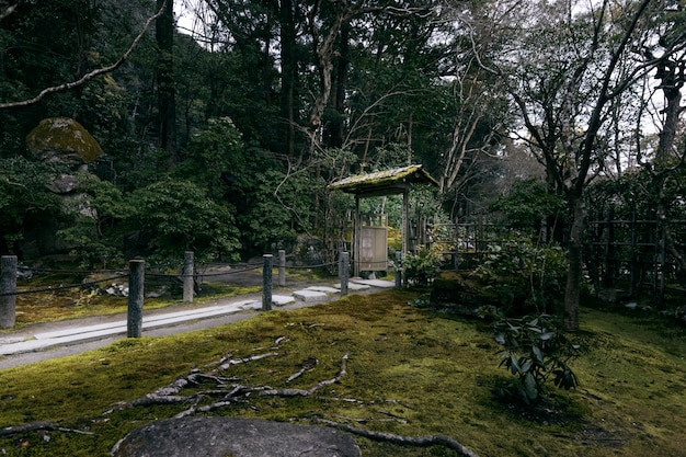 Kostenloses Foto schöner japanischer garten