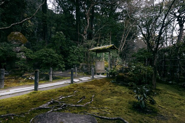 Schöner japanischer Garten