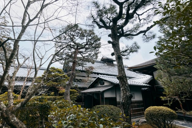 Schöner japanischer Garten