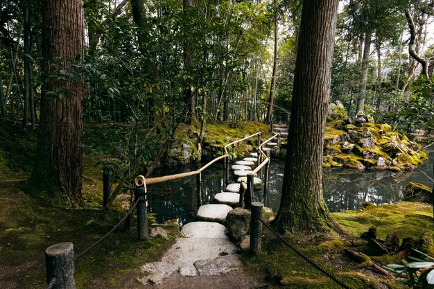 Schöner japanischer Garten