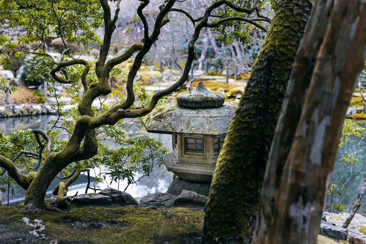 Kostenlose Foto schöner japanischer garten