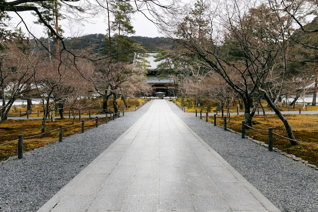 Kostenloses Foto schöner japanischer garten