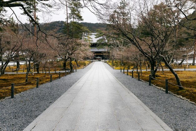 Schöner japanischer Garten