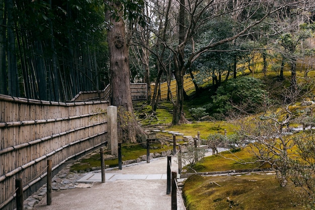 Kostenloses Foto schöner japanischer garten