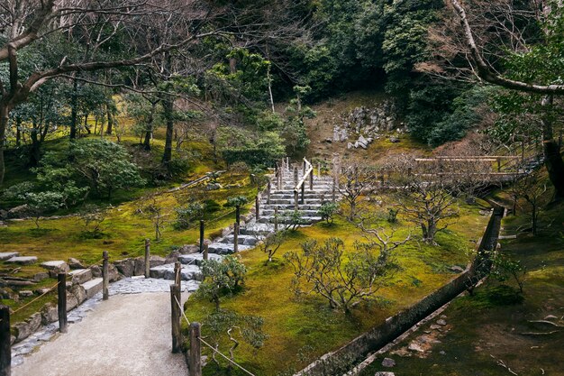 Schöner japanischer Garten