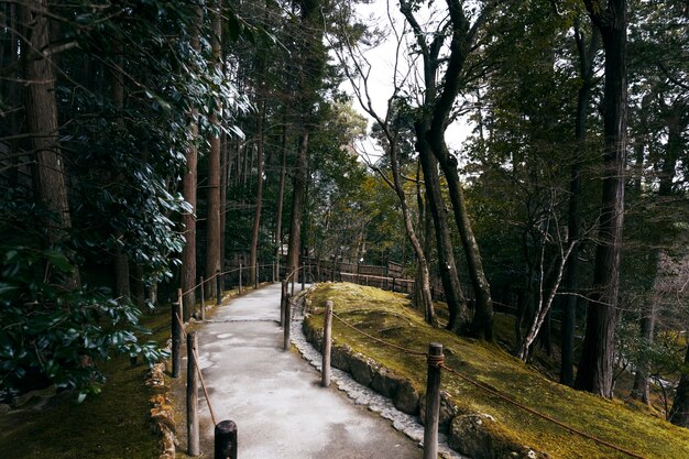 Schöner japanischer Garten