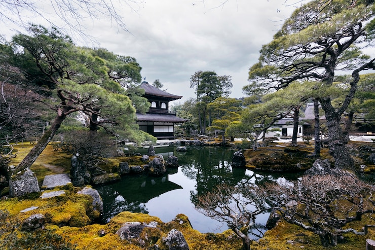 Kostenlose Foto schöner japanischer garten