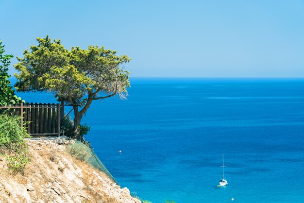 Schöner Olivenbaum auf einer Klippe über einem strahlend blauen Meer mit einem Boot. In der Nähe von Cape Greco auf der Insel Zypern, Mittelmeer.