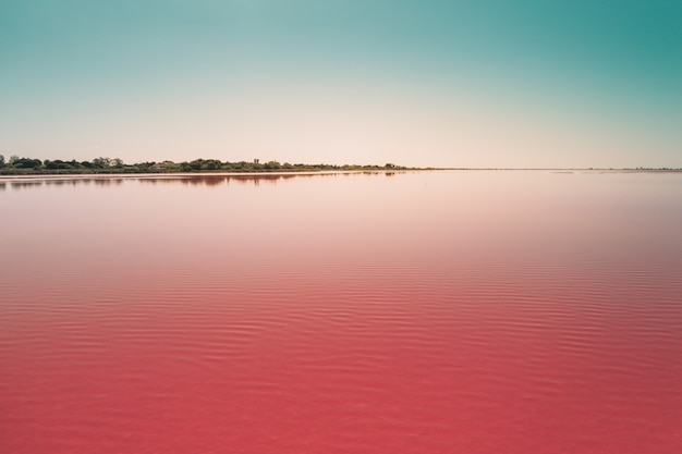 Schöner ruhiger rosa See unter dem blauen Himmel, der in Camarque, Frankreich gefangen genommen wird