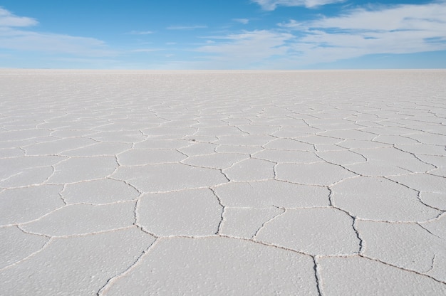 Kostenloses Foto schöner schuss der salzwüste unter einem strahlend blauen himmel in isla incahuasi, bolivien