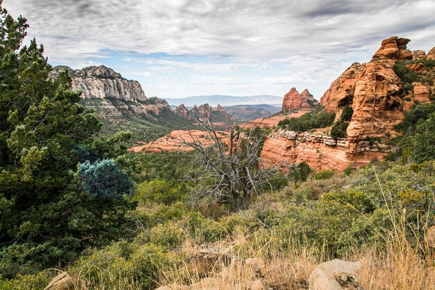 Schöner Schuss der Sedona, Arizona