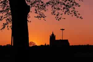 Kostenloses Foto schöner schuss des bauens und der baumschattenbilder während des sonnenuntergangs