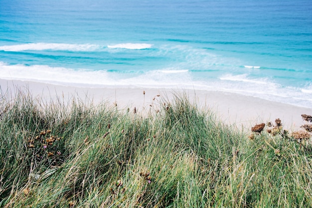 Kostenloses Foto schöner schuss des blauen meeres und eines strandes mit sand und grünem gras