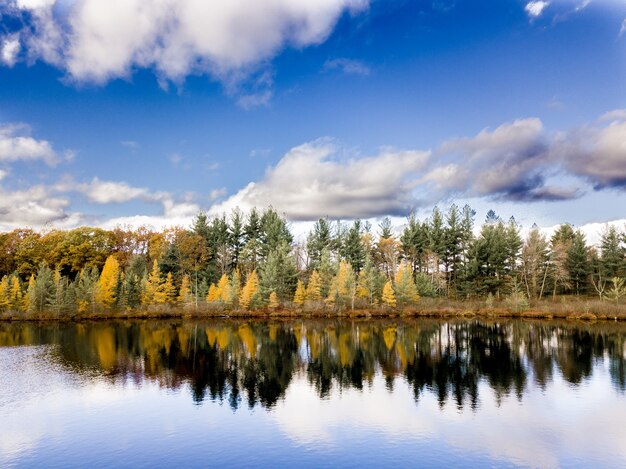 Schöner Schuss des Wassers, das die Bäume am Ufer unter einem blauen bewölkten Himmel reflektiert