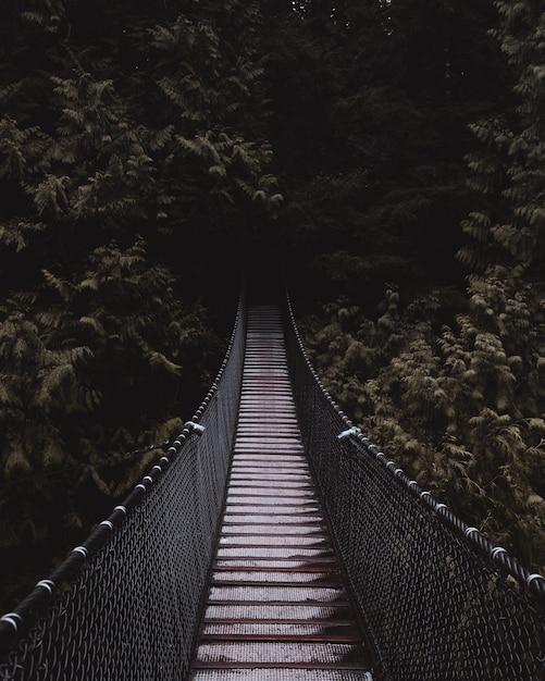 Kostenloses Foto schöner schuss einer hölzernen hängebrücke, die zu einem dunklen geheimnisvollen wald führt