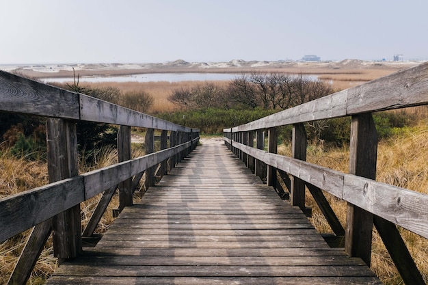 Kostenloses Foto schöner schuss einer hölzernen promenade im feld mit den bäumen und dem hügel im hintergrund