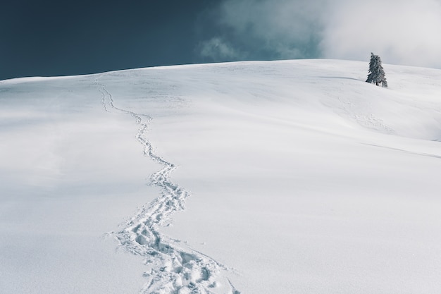 Schöner Schuss einer Schneelandschaft mit Fußspuren im Schnee unter dem blauen Himmel