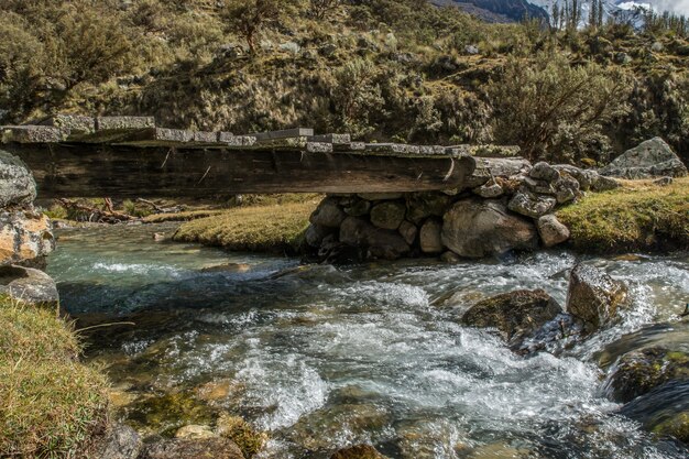 Schöner Schuss eines Flusses unter einer Brücke in der Mitte eines Waldes