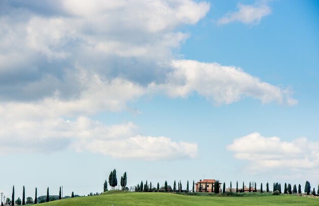 Schöner Schuss eines Grasfeldes mit Bäumen und einem Haus in der Ferne unter einem blauen Himmel