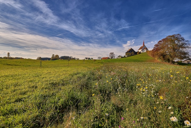 Schöner Schuss eines Grasfeldes mit Gebäuden in der Ferne unter einem blauen Himmel am Tag