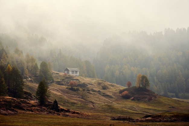 Schöner Schuss eines Hauses auf einem grasbewachsenen Hügel nahe bewaldeten Bergen in einem Nebel