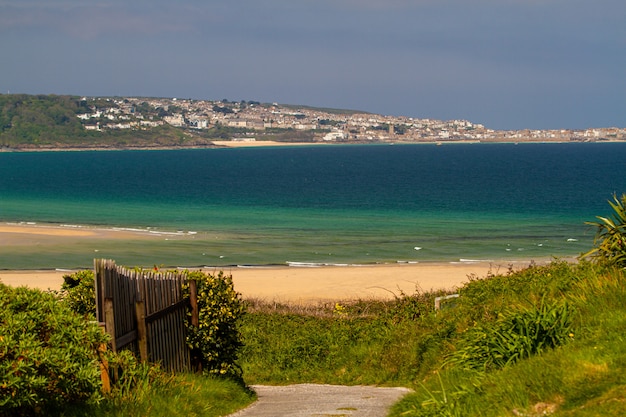 Kostenloses Foto schöner schuss eines strandes voll von verschiedenen arten von grünen pflanzen und häusern in cornwall, england