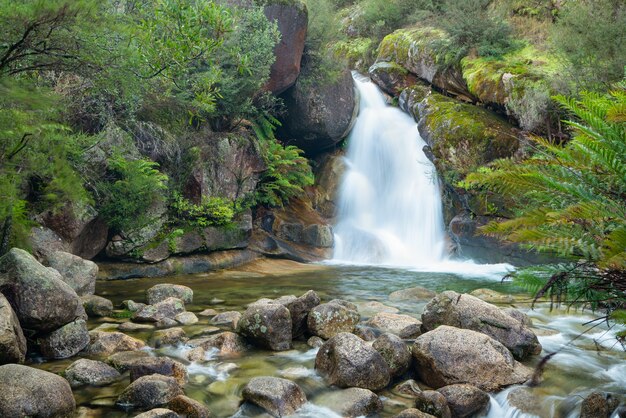 Schöner Schuss eines Wasserfalls, der nahe vielen Felsen fließt