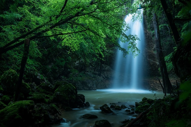 Schöner Schuss eines Wasserfalls im Wald