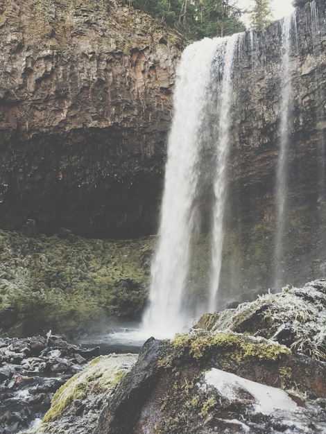 Schöner Schuss eines Wasserfalls und eines Sees in einem Wald